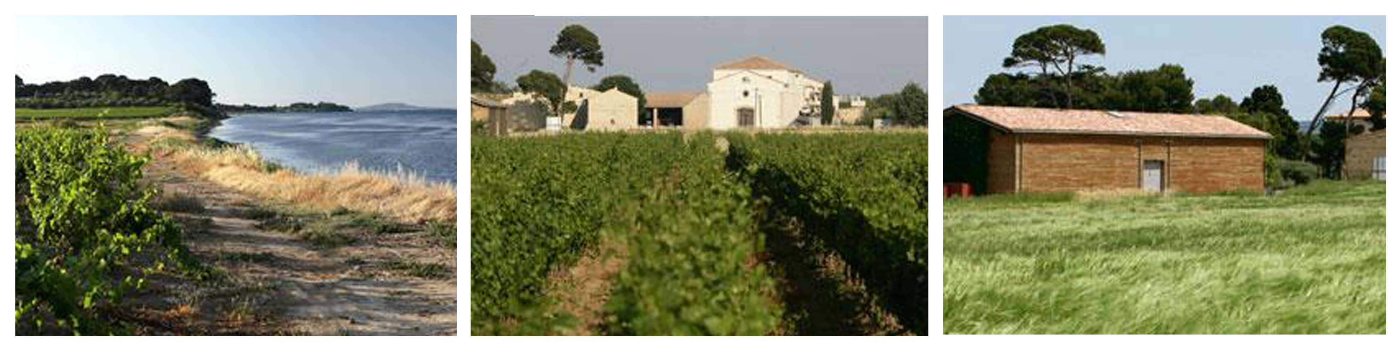WK_domaine_de_bellemare