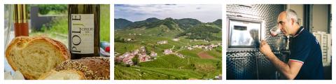 IT_-_Polje_Shop_Banner480p
