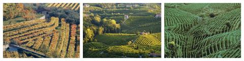 IT_-_Vini_Tiscone_Shop_Banner480pngzP6RPkkz9AD