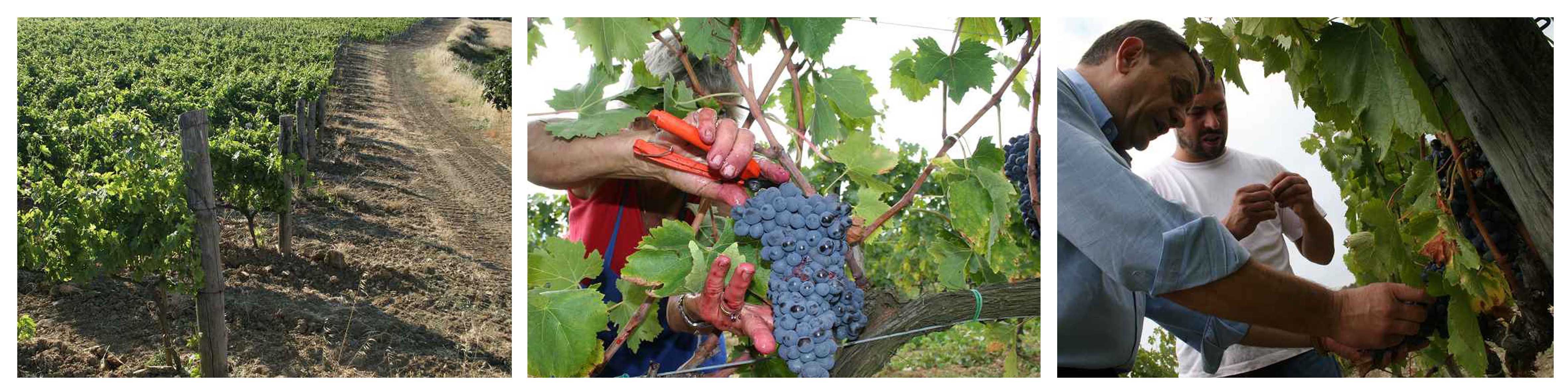 WK_podere_san_lorenzo