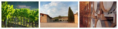 IT_-_Bonacchi_Banner480