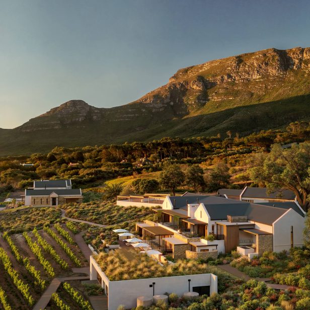 ALEXANDER VINEYARDS