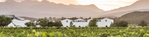 SA_-_McGregor_Shop_Banner480ppwahNHpUc4KMZ