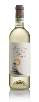 24 San Vito Roero Arneis DOCG, Az.Agr.Daniele Pelassa