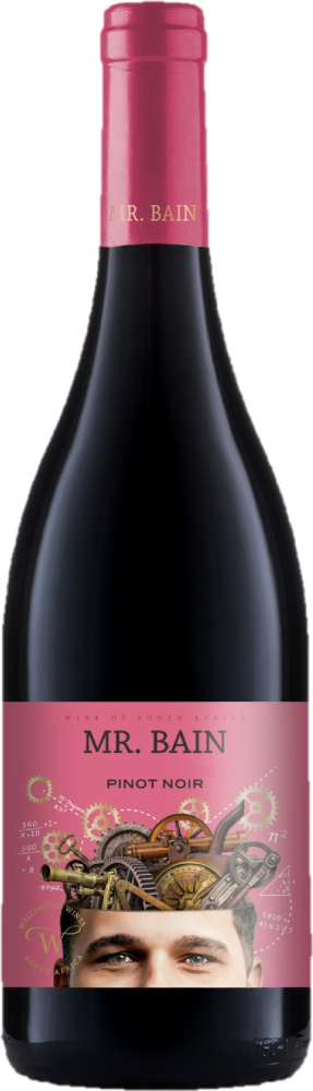 21 MR.BAIN Pinot Noir