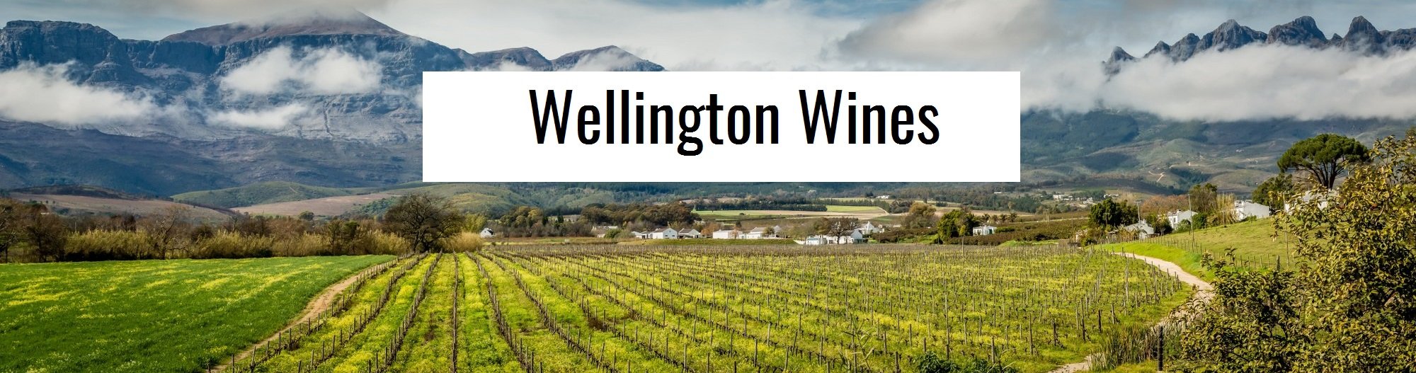 Wellington_Wines_-_Banner_einfach_mit_TextrNKHnO02ye0RJ