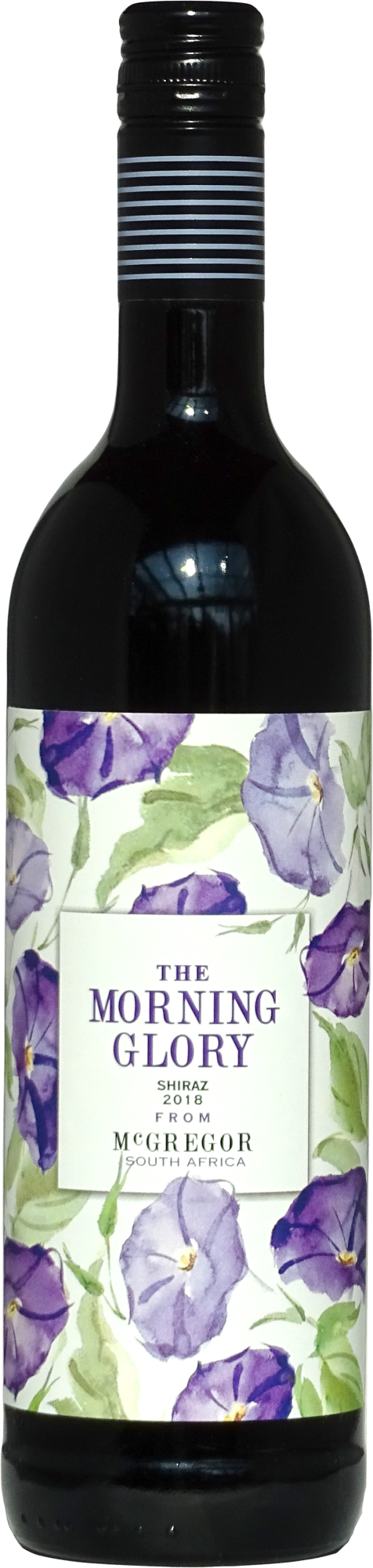18 MORNING GLORY SHIRAZ,  WO McGregor