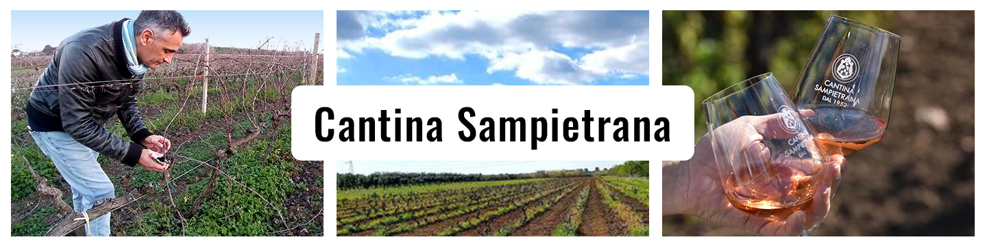 Cantina-Sampietrana-Website-Banner-2